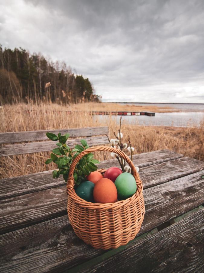 Lesna 21 Dom Poludnie Przy Puszcza Bialowieska Luka Exterior foto