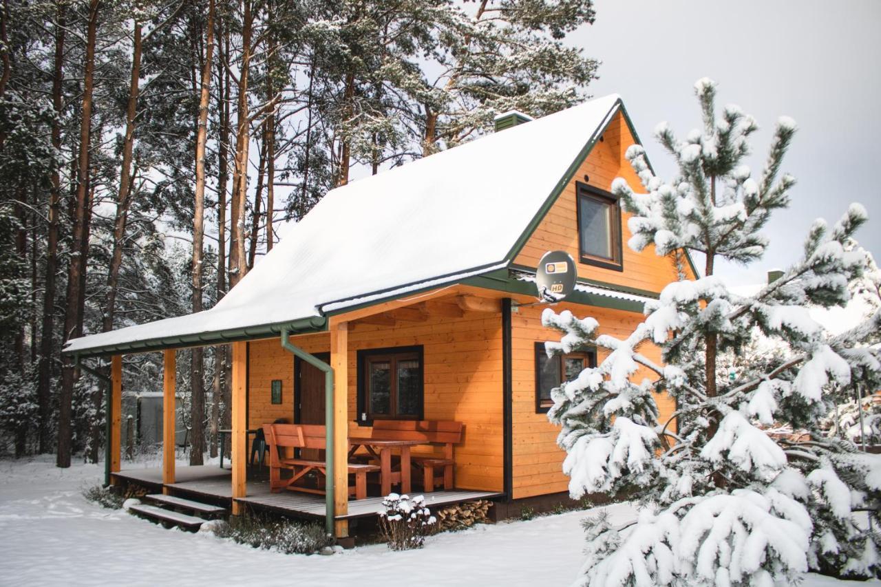 Lesna 21 Dom Poludnie Przy Puszcza Bialowieska Luka Exterior foto
