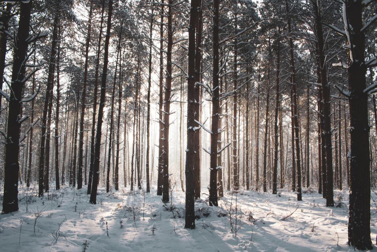 Lesna 21 Dom Poludnie Przy Puszcza Bialowieska Luka Exterior foto