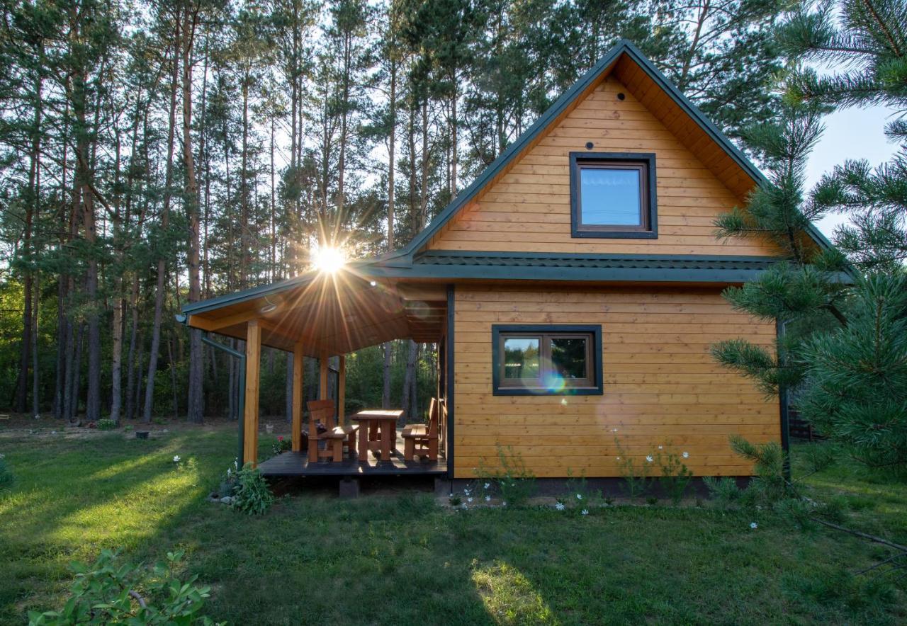 Lesna 21 Dom Poludnie Przy Puszcza Bialowieska Luka Exterior foto
