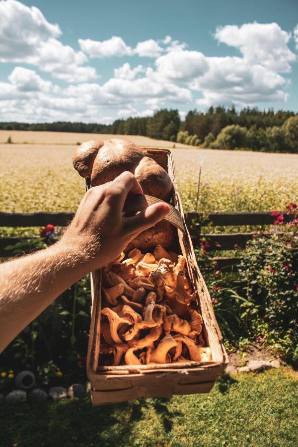 Lesna 21 Dom Poludnie Przy Puszcza Bialowieska Luka Exterior foto